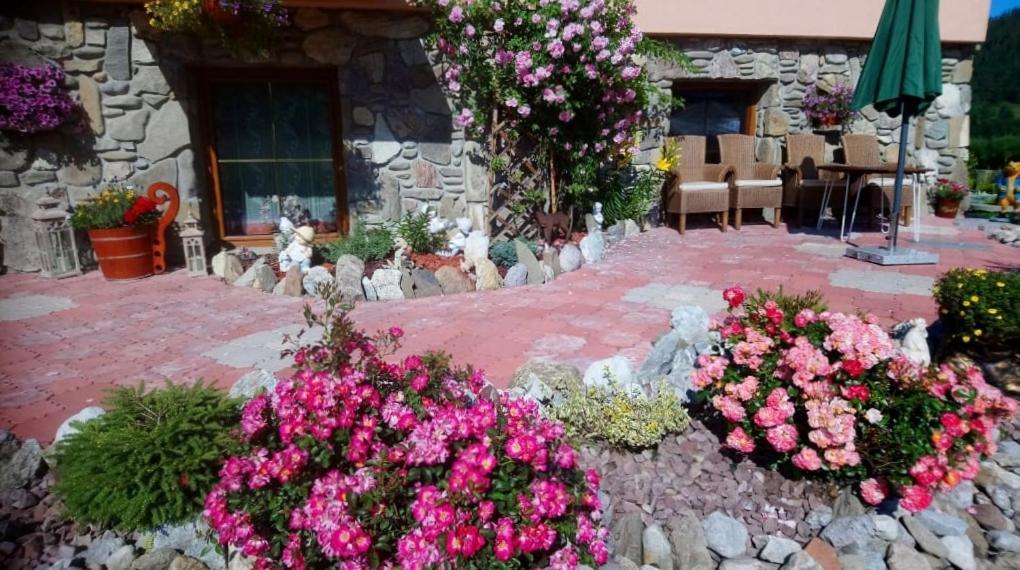 OW. Orla Perc Bed and Breakfast Murzasichle Exterior foto